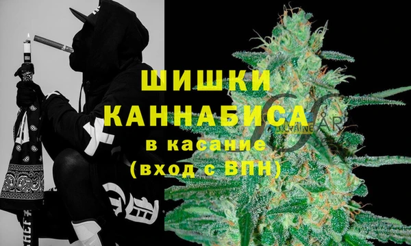 гашик Лиски