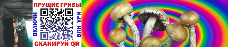 Псилоцибиновые грибы GOLDEN TEACHER  мега онион  Цоци-Юрт 